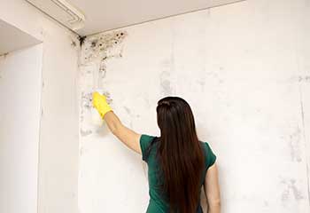 Residential Mold Remediation | Moorpark